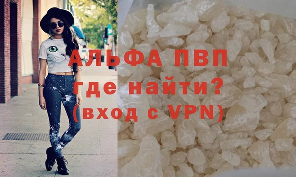 гашик Вязьма