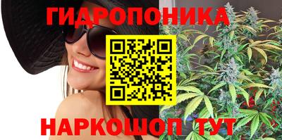 Альфа ПВП Будённовск