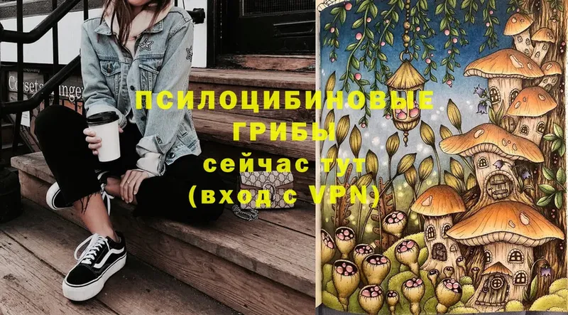 ОМГ ОМГ как зайти  Дзержинский  Псилоцибиновые грибы Cubensis 