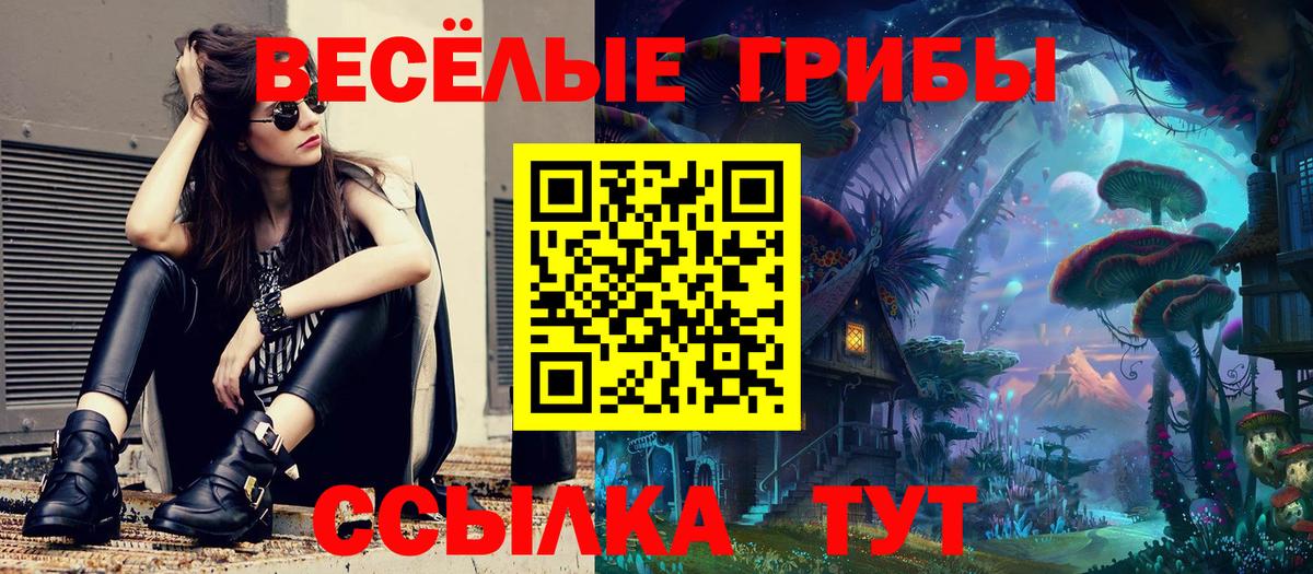 Псилоцибиновые грибы GOLDEN TEACHER  Вход с VPN  Дзержинский 